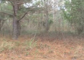 Foxworthy Farms has a special hunter in camp