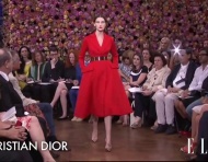 Christian Dior alta costura 2013