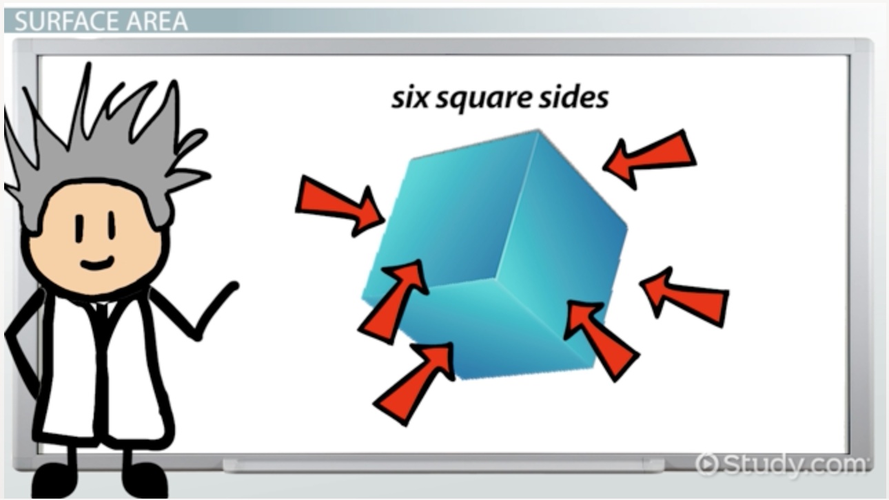 Lateral Surface Area Definition Formula Video Lesson Lateral Surface Area Definition Formula Video Lesson Transcript Study Com