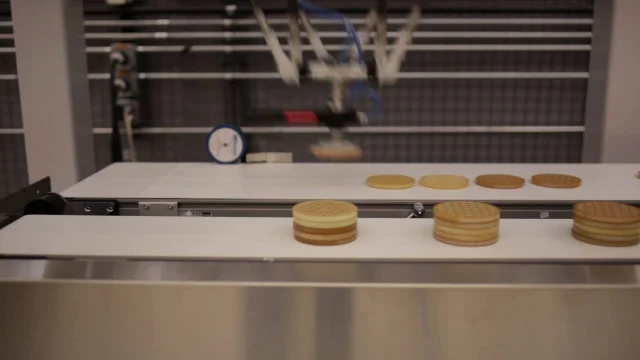 Waffle Stacking and Packing Robots