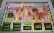 Rasta Slots