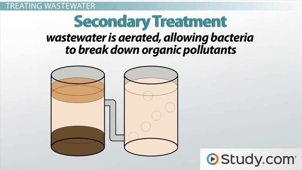 essay on water pollution for class 2 essay on water pollution for class 2