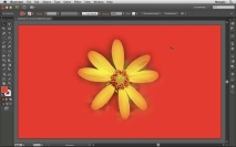 Como aplicar uma imagem com fundo transparente no Illustrator