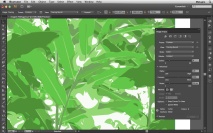 Vetorização com o novo recurso Image Trace