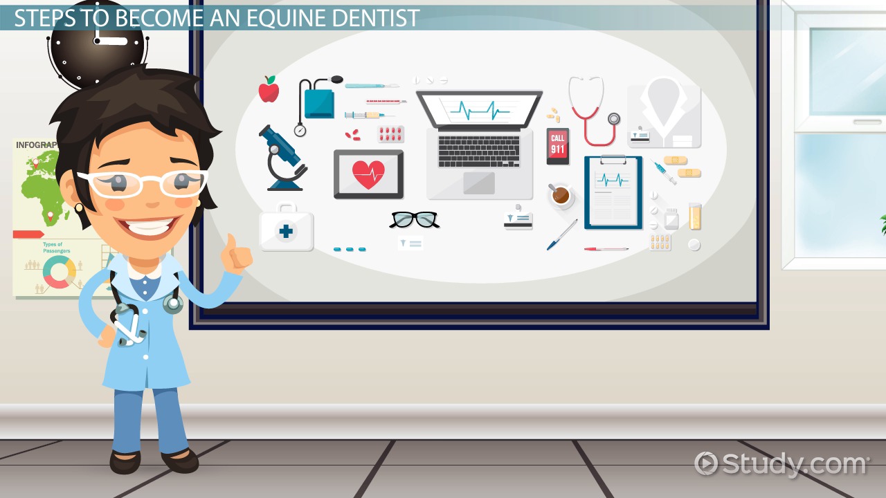 bank heists how to become an equine dentist