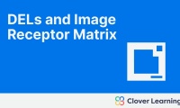 DELs and Image Receptor Matrix | Video Lesson | Clover Learning