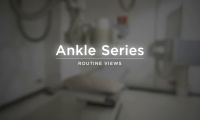 Ankle | Video Lesson | Clover Learning