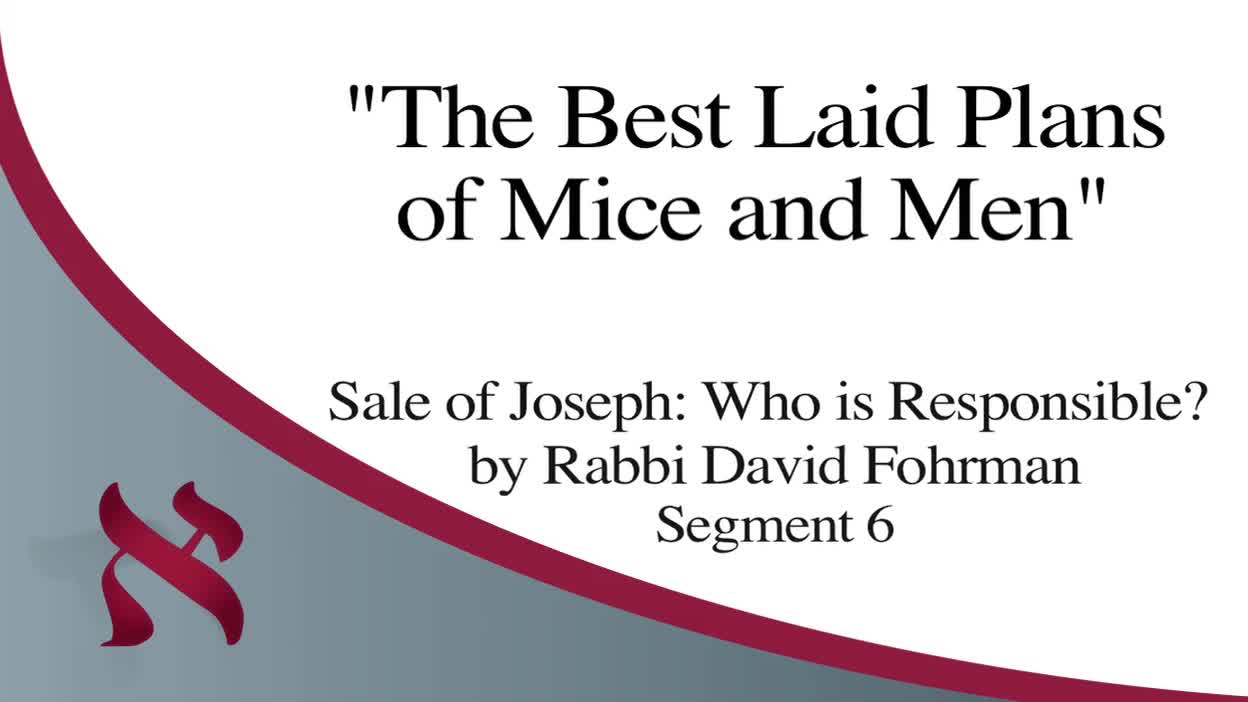 the-best-laid-plans-of-mice-and-men-aleph-beta