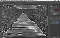 Efeito de foto PB com o ajuste HDR Toning