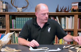 Jawbone Aging: Part 1 – Tooth Replacement
