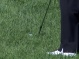 Tiger 16th Shot 2012 Memorial video