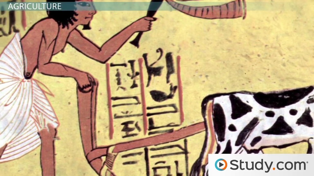comparing and contrasting ancient civilizations egypt and comparing and contrasting ancient civilizations egypt and