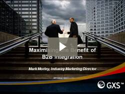 Maximizing Return on ERP and B2B Integration