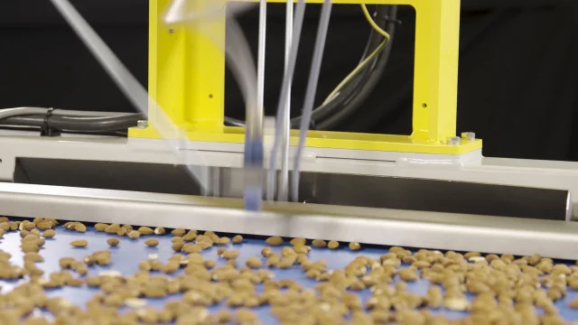 Almond Processing Robots