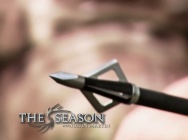 The Design of the Strongest Broadhead