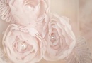 Los vestidos de novia 2013 de Anaiss