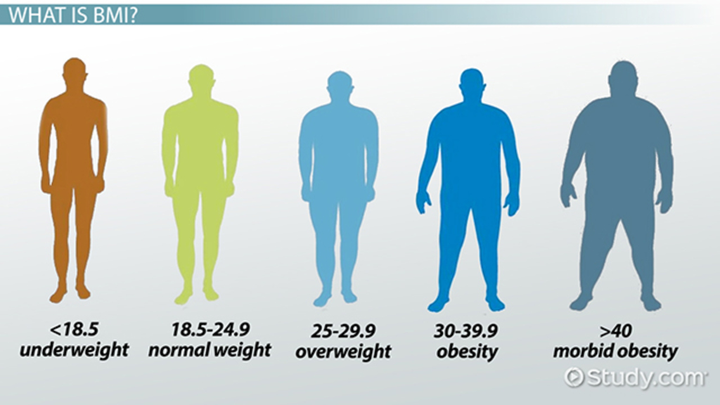 3d body mass index calculator