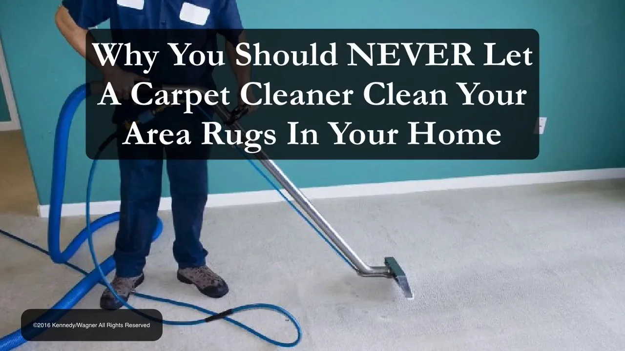 10 Best Knoxville Carpet Cleaners Expertise