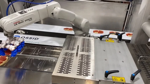 Raw Steak Packing Robot