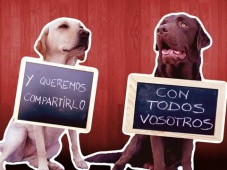 Invitaciones de boda con un vídeo original [Video]