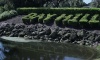 Bay Hill Community Video
