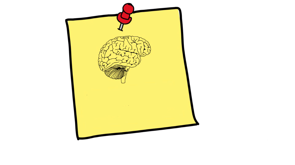 Stay Well Chiropractic, Inc. Chiropractic Videos in Chesapeake