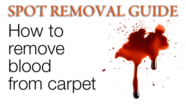get out dried blood get out dried blood